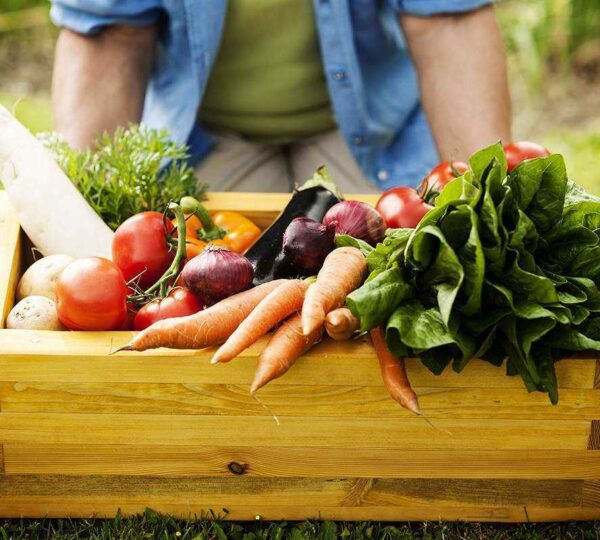 Agro Processing